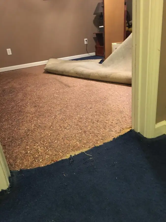 Carpet pad removal revealing water damage during Drying & Dehumidification in Deerfield Beach